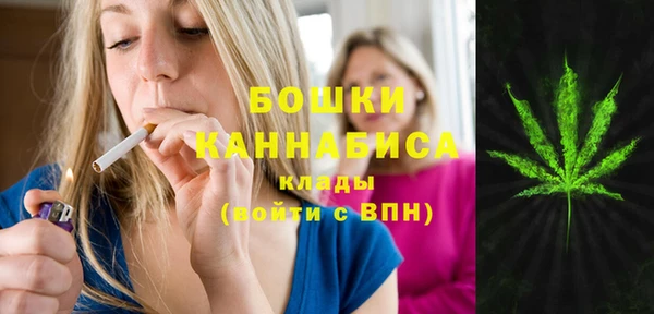 apvp Аркадак