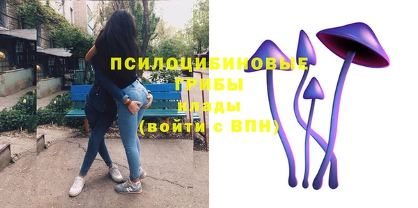 МДПВ Навашино